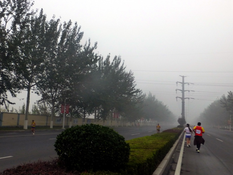 p1270577.jpg
