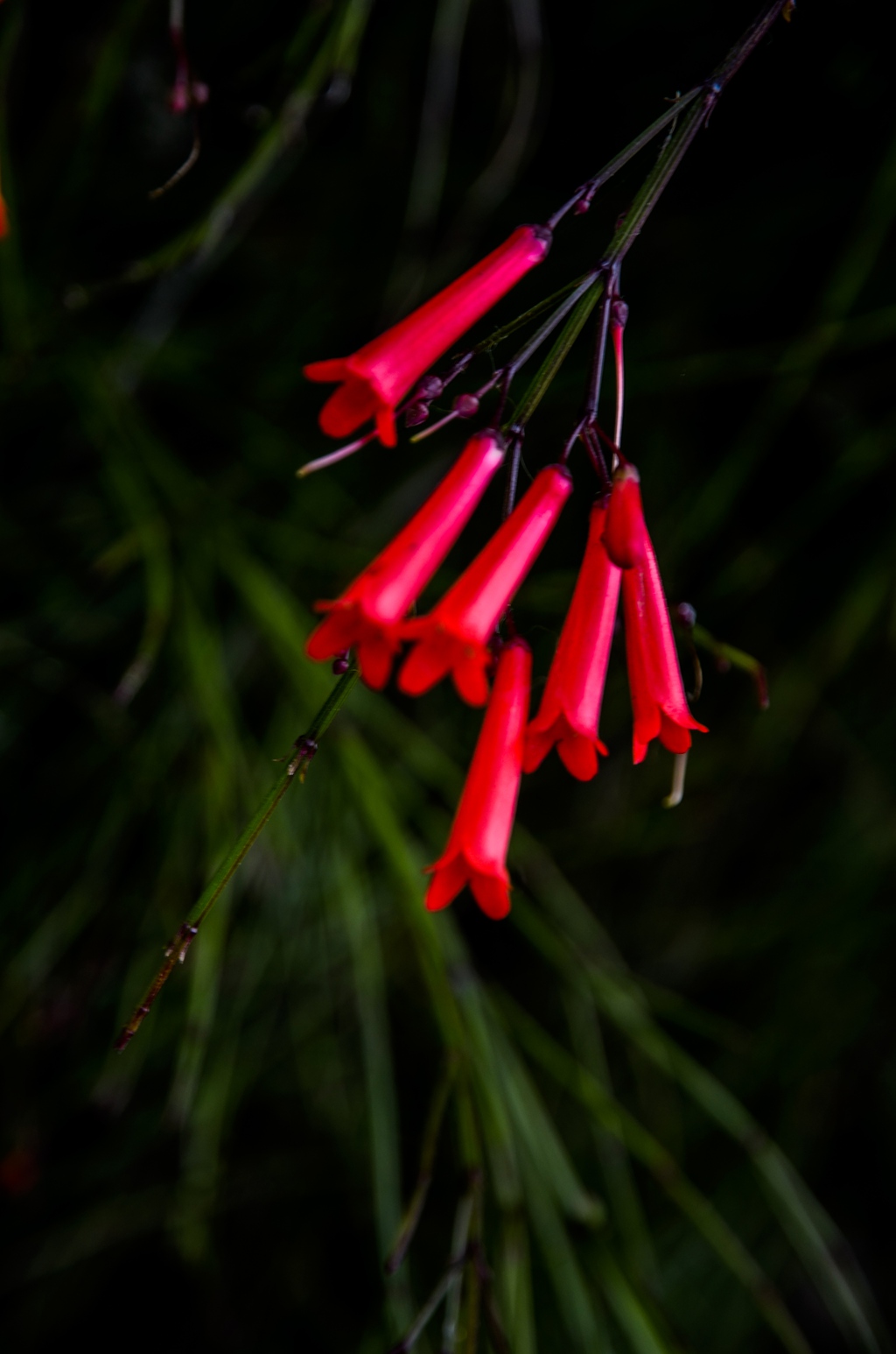 _dsc3542 - .jpg