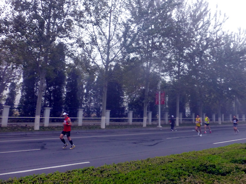 p1270561.jpg
