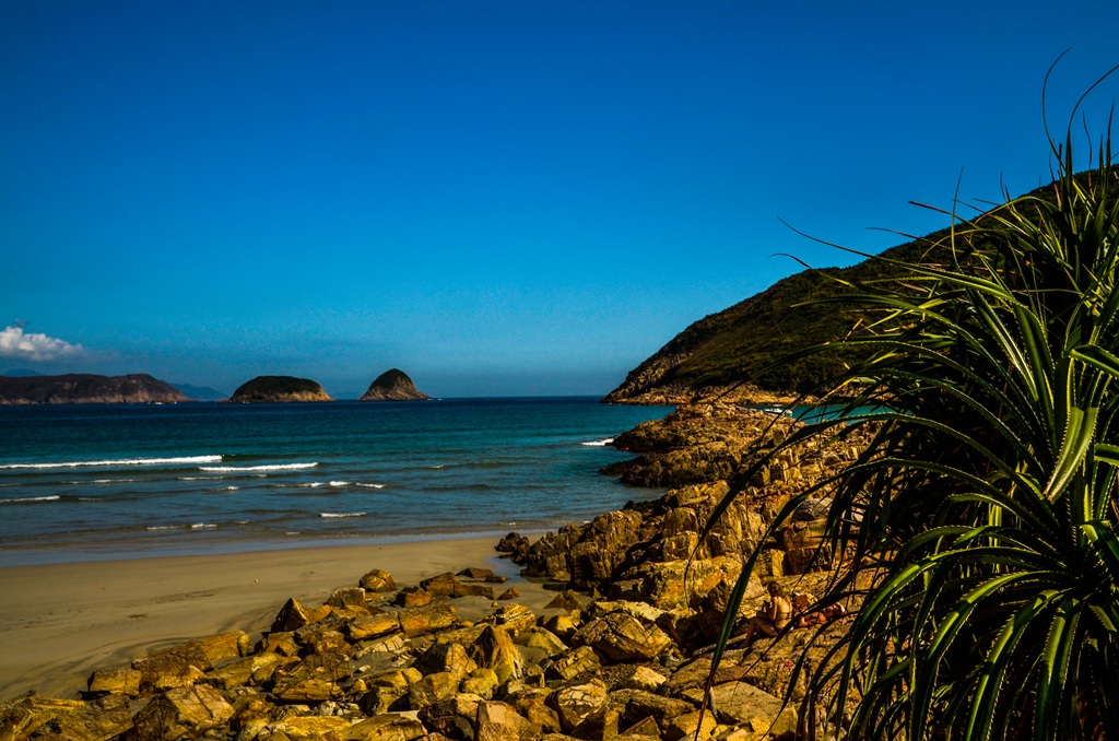 _dsc3718 - .jpg