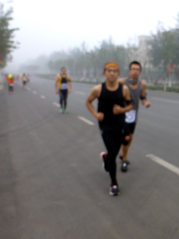 p1270630.jpg