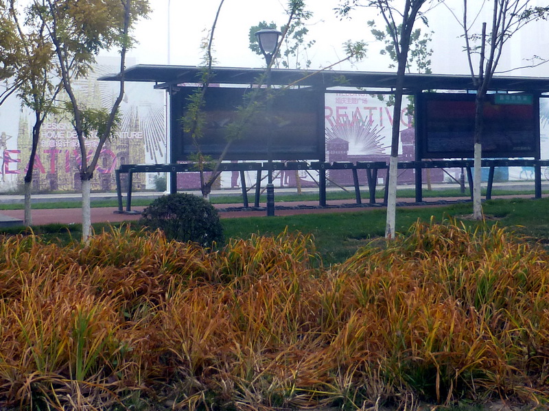p1270639.jpg
