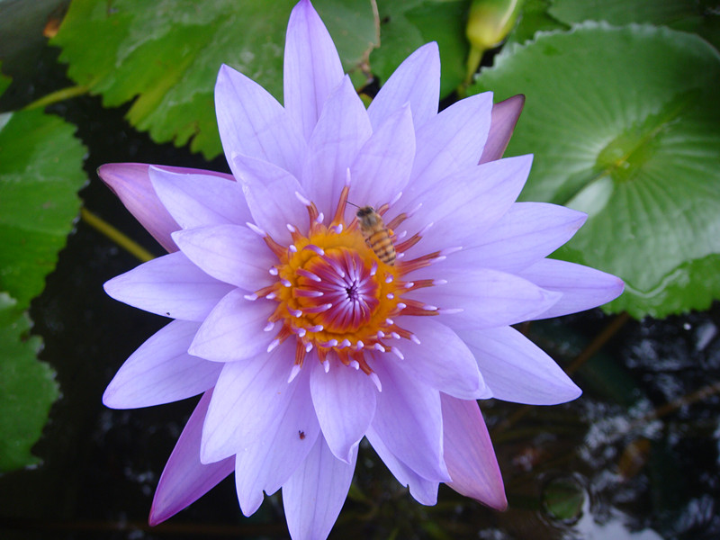 dsc00202_.jpg