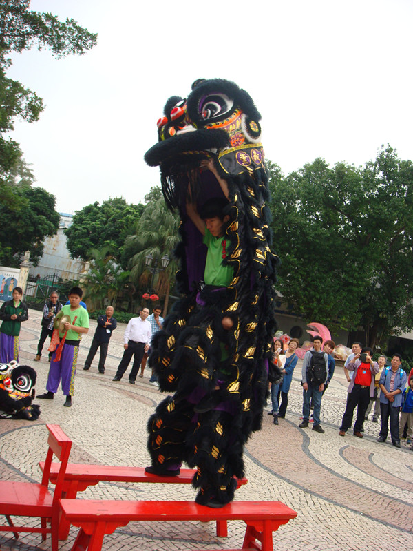 dsc00263_.jpg
