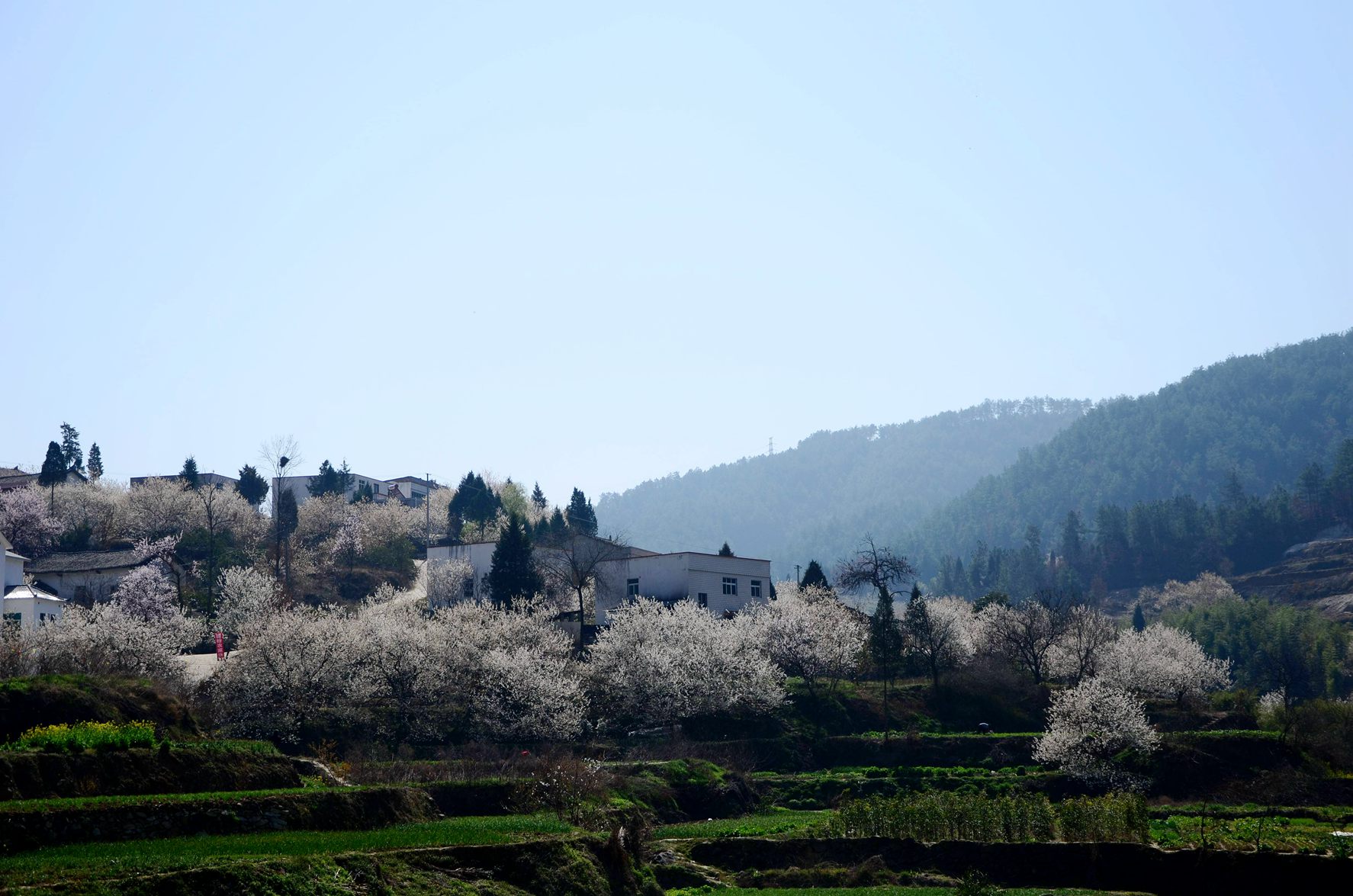 dsc_4355_.jpg