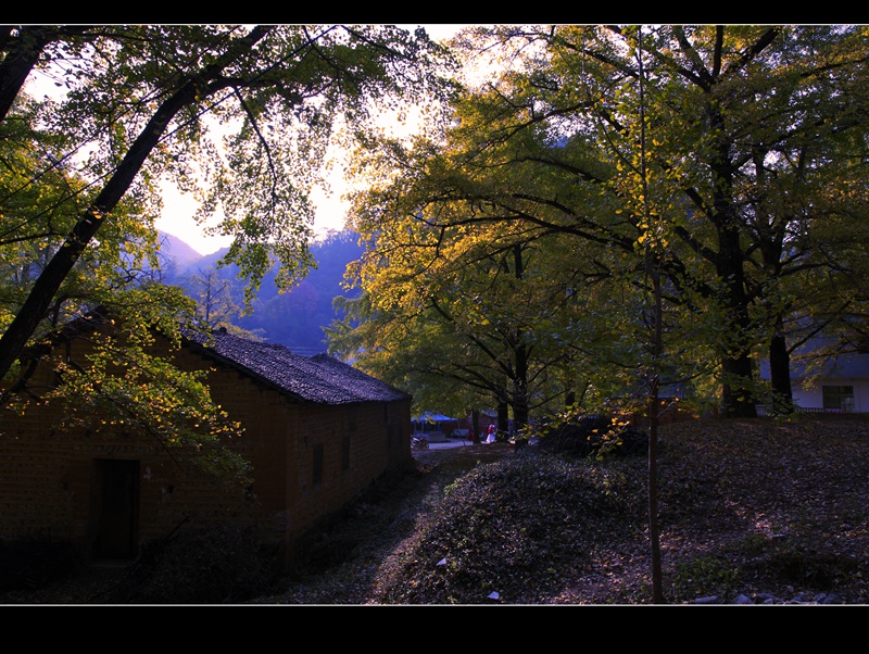 _mg_0974.jpg
