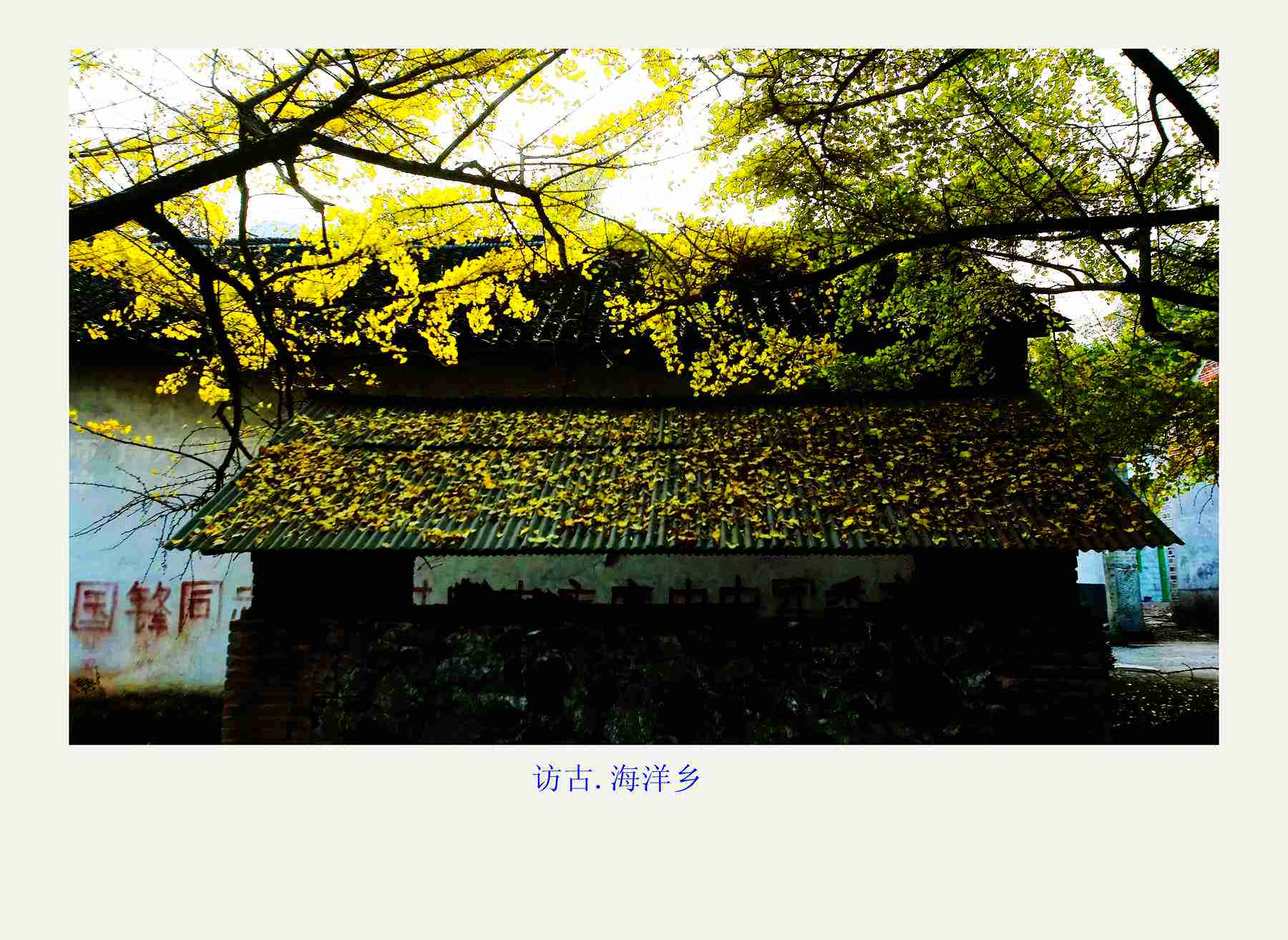 bw3p0272_.jpg