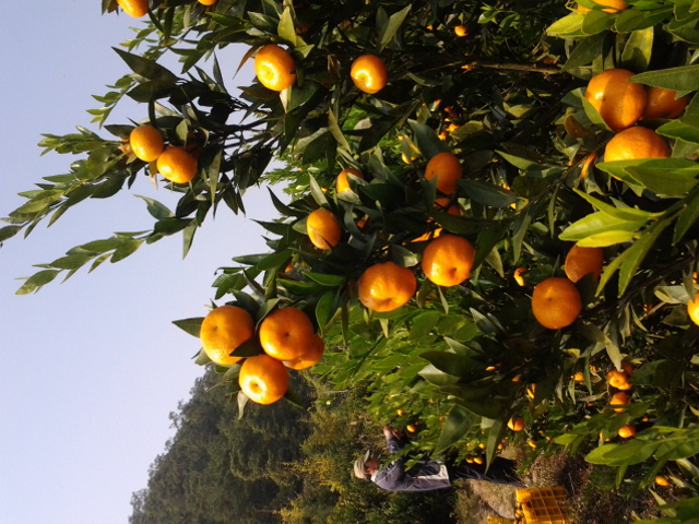 20141118_122703.jpg