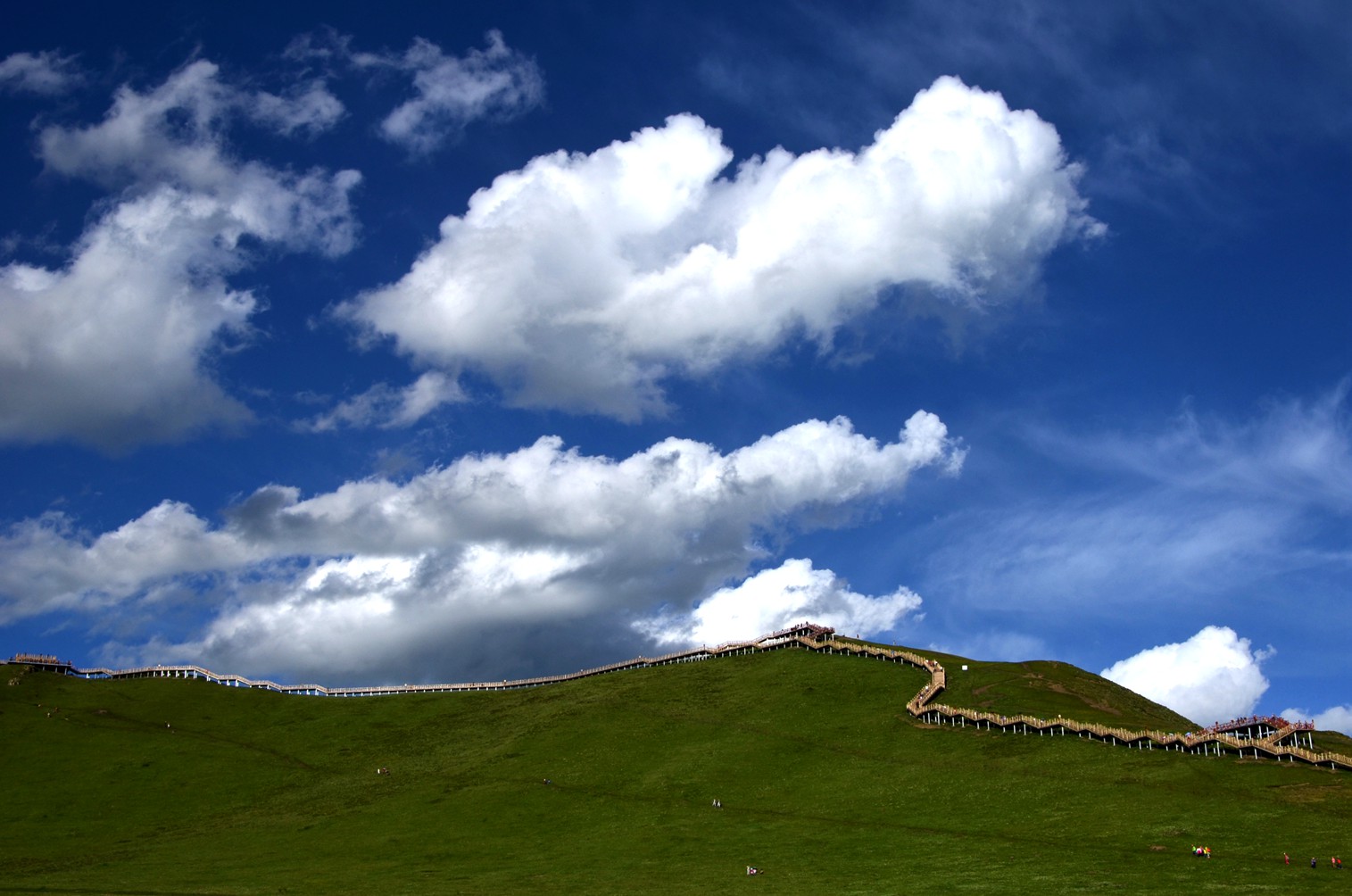 dsc_2360.jpg