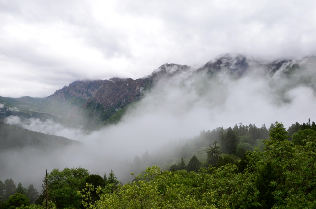 dsc_2680.jpg