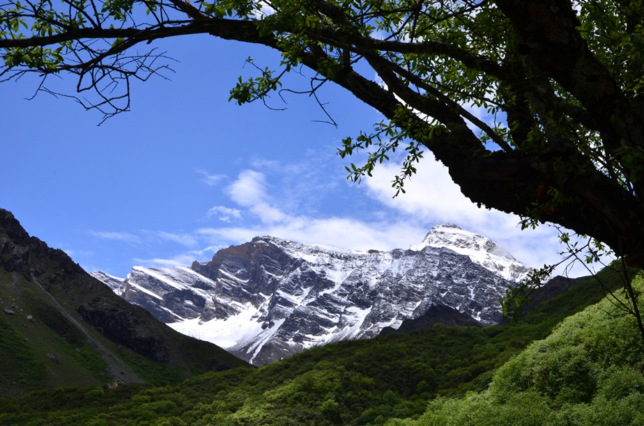 dsc_2801.jpg