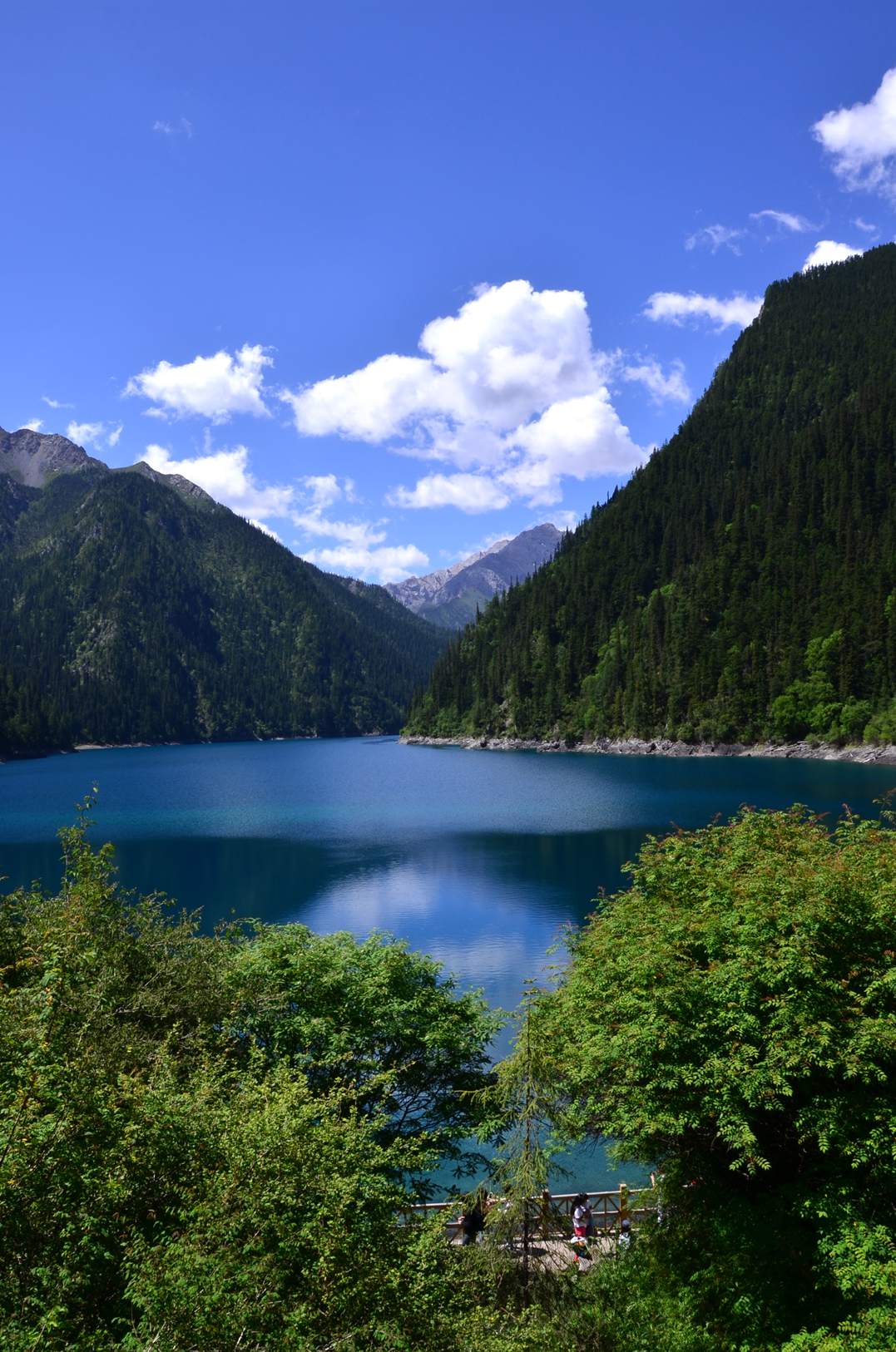 dsc_2919.jpg