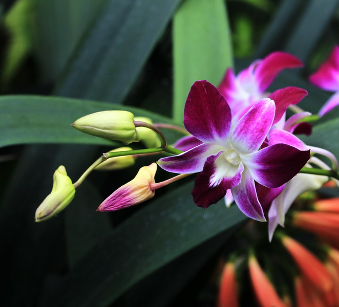 _mg_2239_缩小大小.jpg