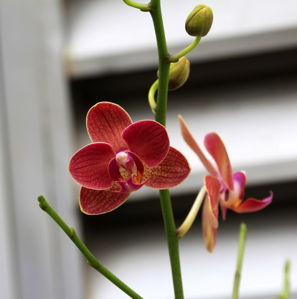 _mg_2265_缩小大小.jpg