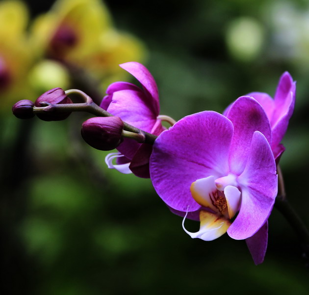 _mg_2248_缩小大小.jpg