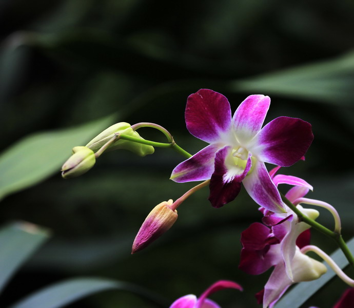 _mg_2258_缩小大小.jpg