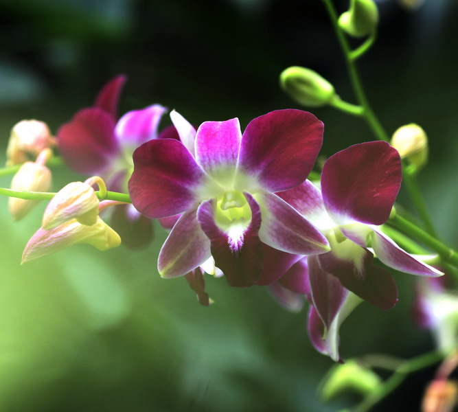 _mg_2268_缩小大小.jpg