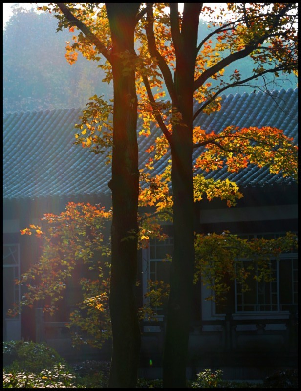 conew_1207ĥɽ 024_conew1.jpg