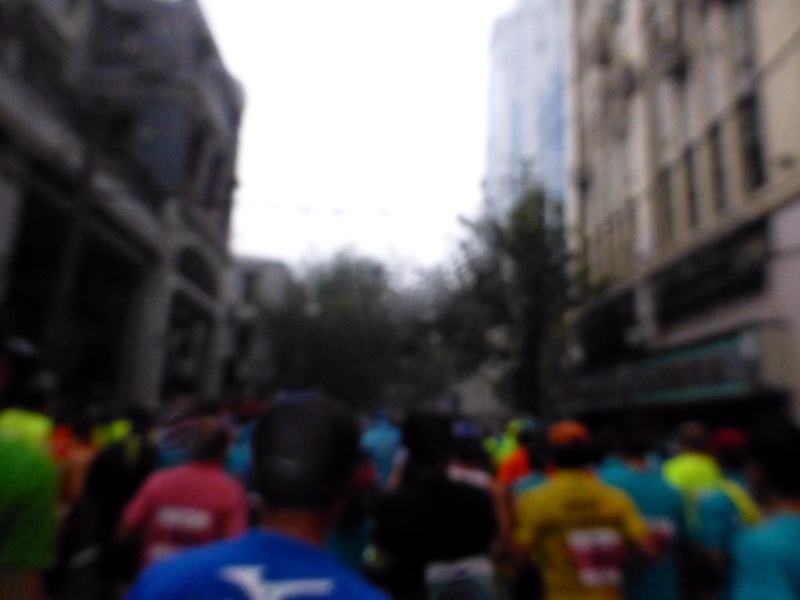 p1270862.jpg