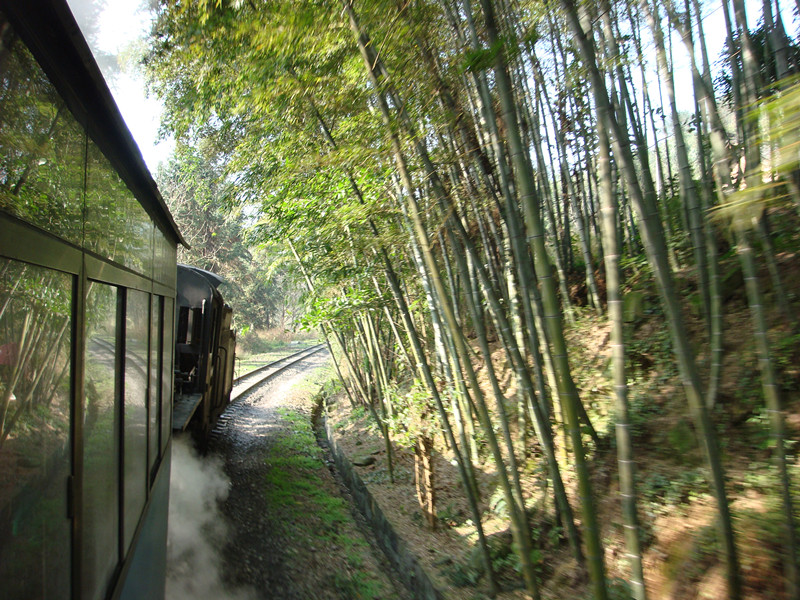 dsc00385_副本.jpg