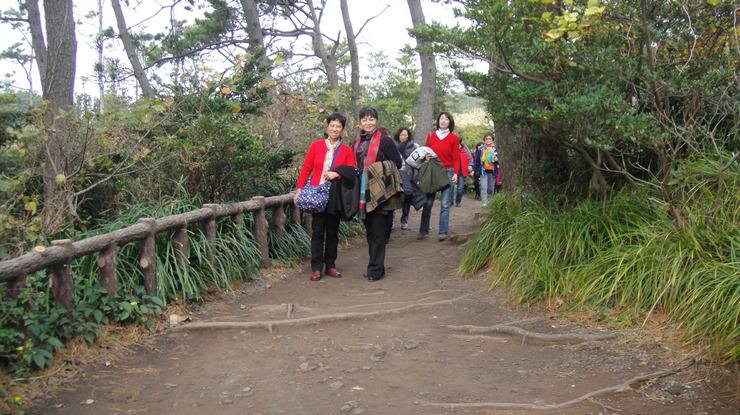 dsc00684.jpg