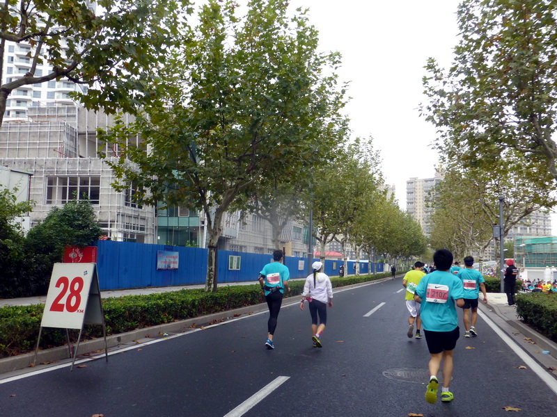 p1270942.jpg