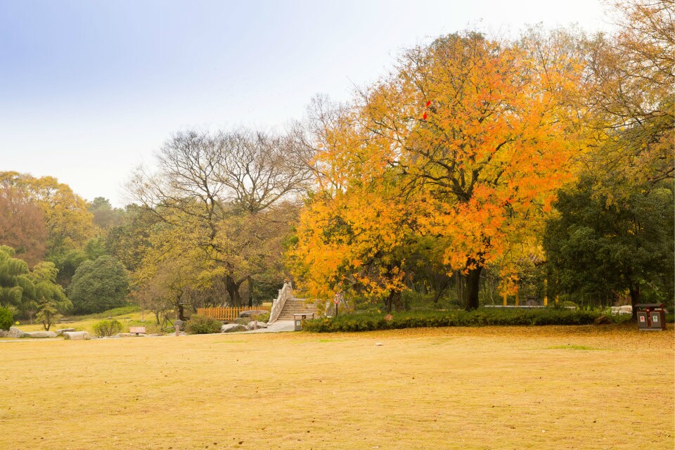 qqͼƬ20141228200418.jpg