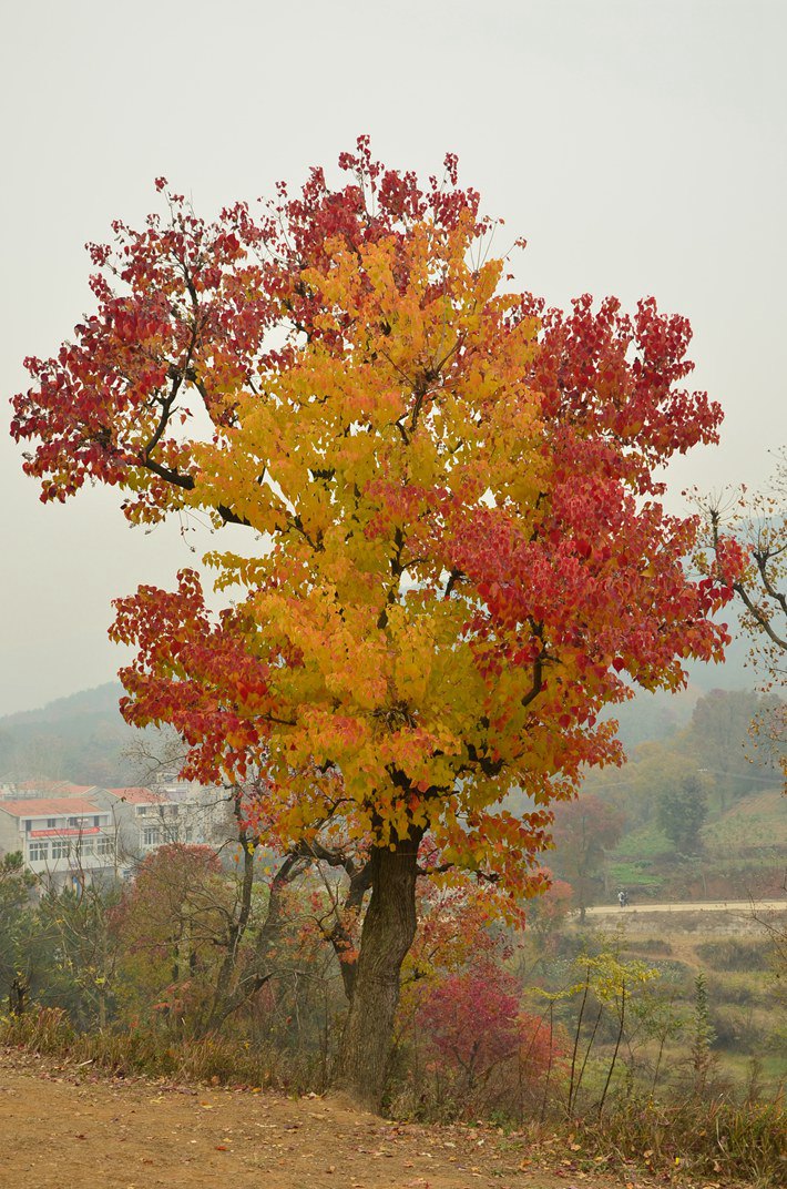 dsc_9750.jpg