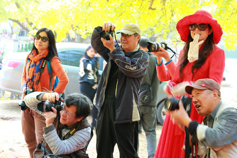 img_4928_dh.jpg