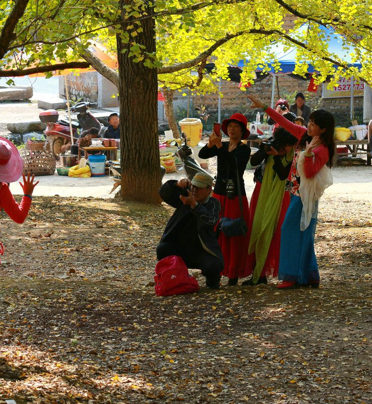 img_4931_dh.jpg
