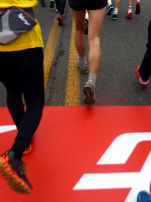 p1270479.jpg