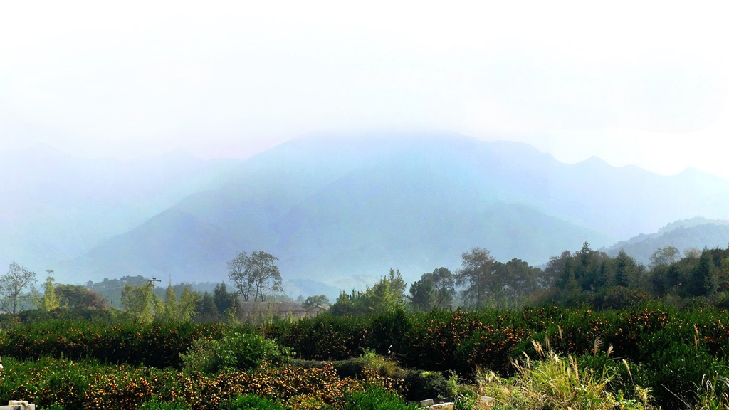 dscf3369a.jpg