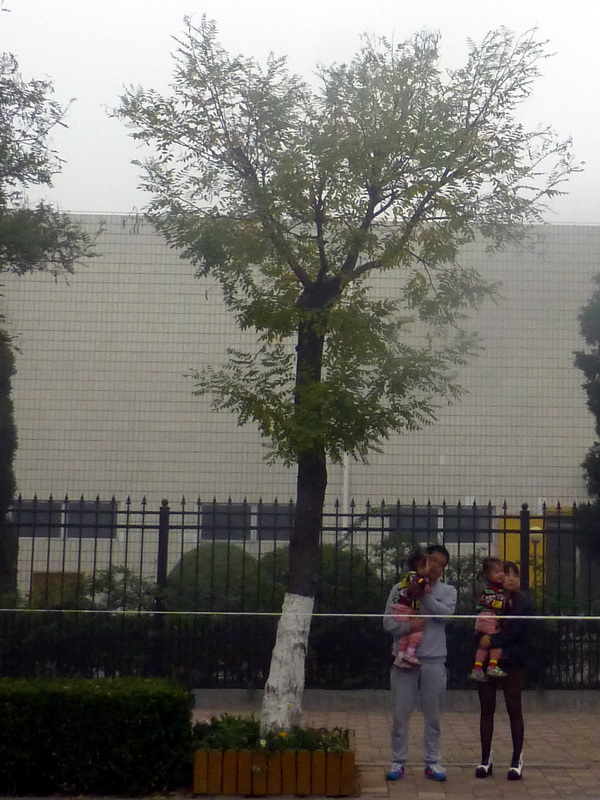 p1270515.jpg