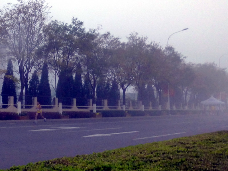 p1270529.jpg