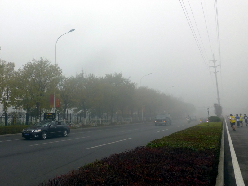 p1270530.jpg