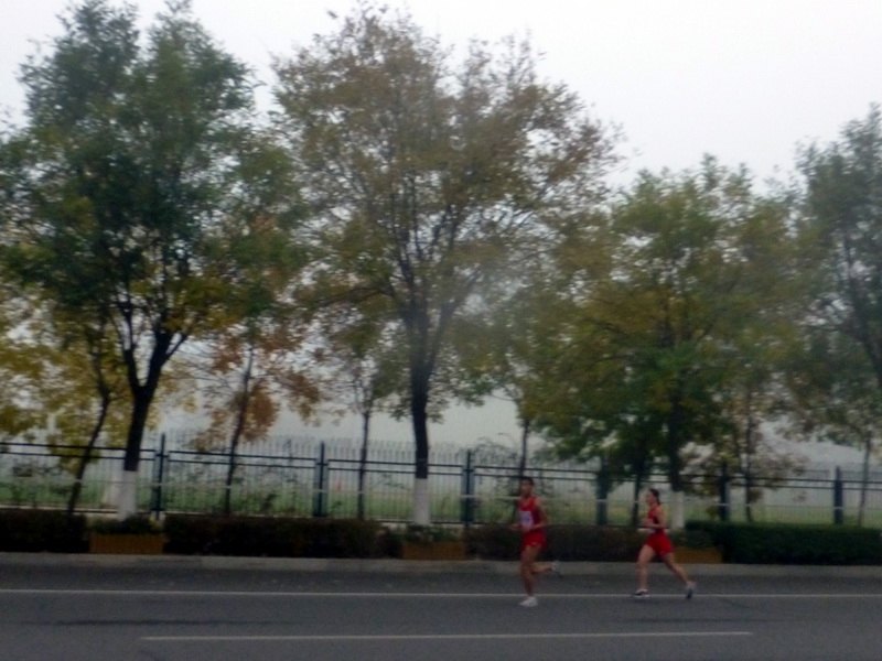 p1270533.jpg