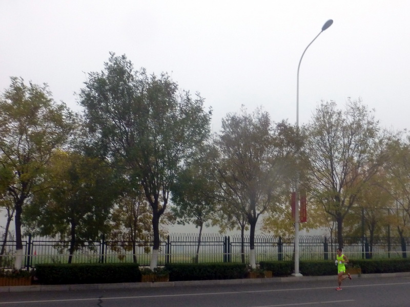 p1270534.jpg