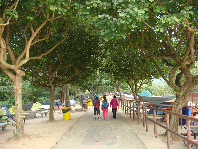 dsc00052_.jpg