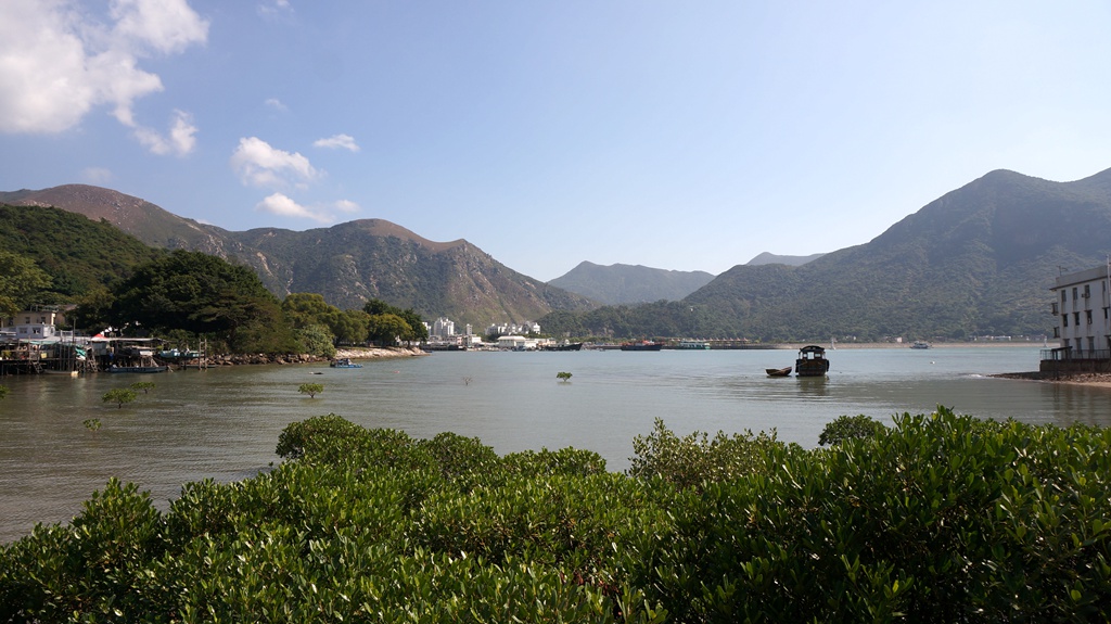 dsc00649.jpg