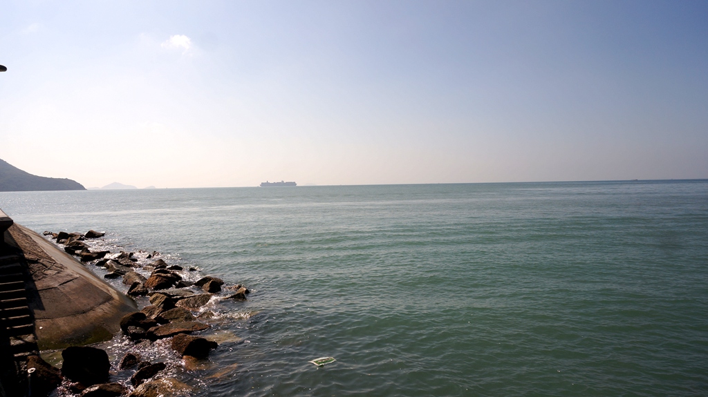 dsc00653.jpg
