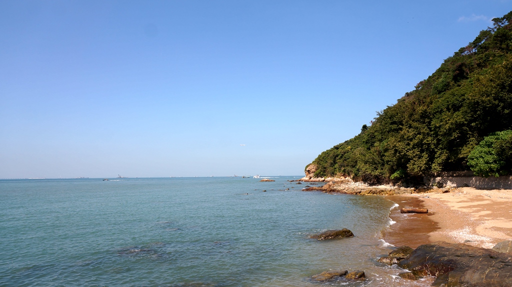 dsc00675.jpg
