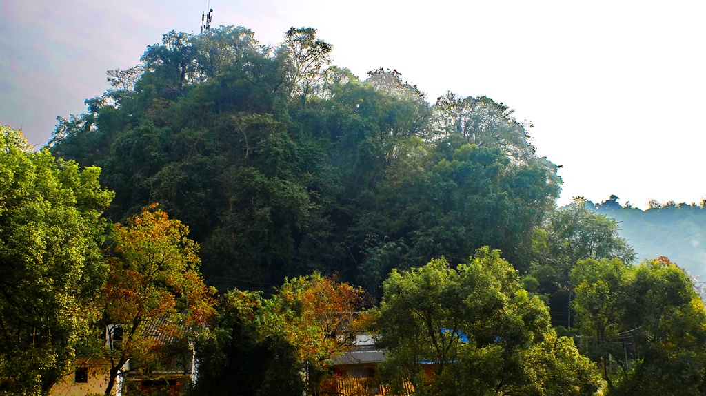 dscf3993.jpg