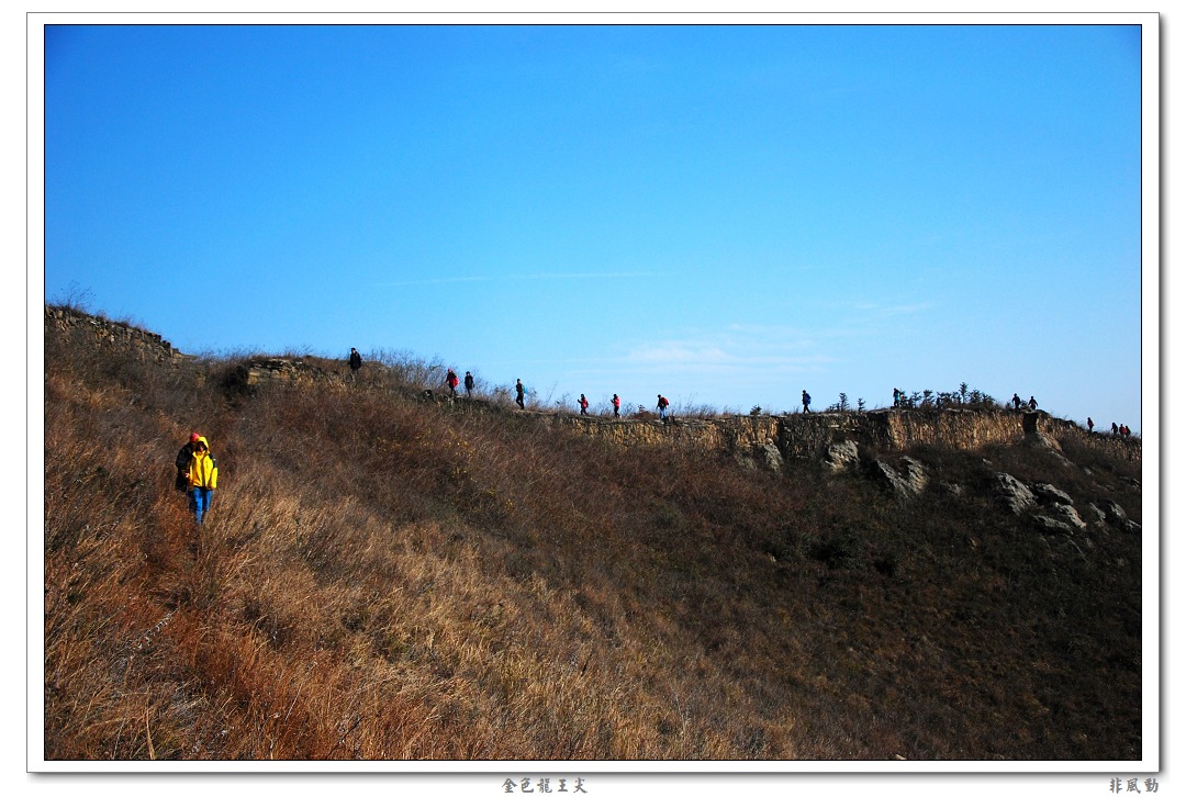 dsc_6395_neo_img.jpg