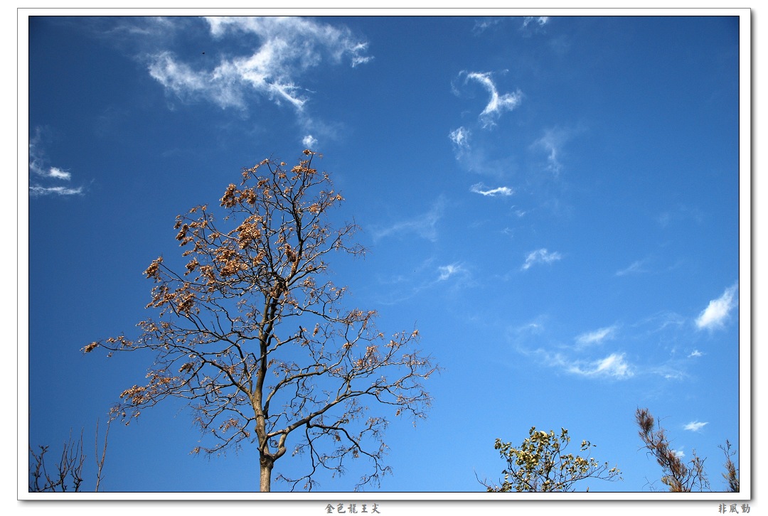 dsc_6427_neo_img.jpg
