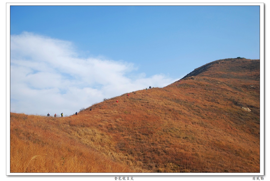 dsc_6256_neo_img.jpg