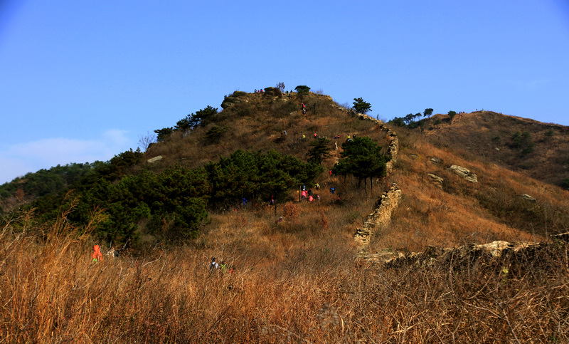img_5823.jpg