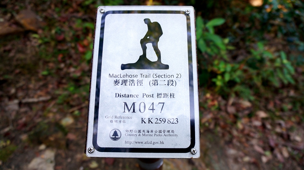 dsc00805.jpg