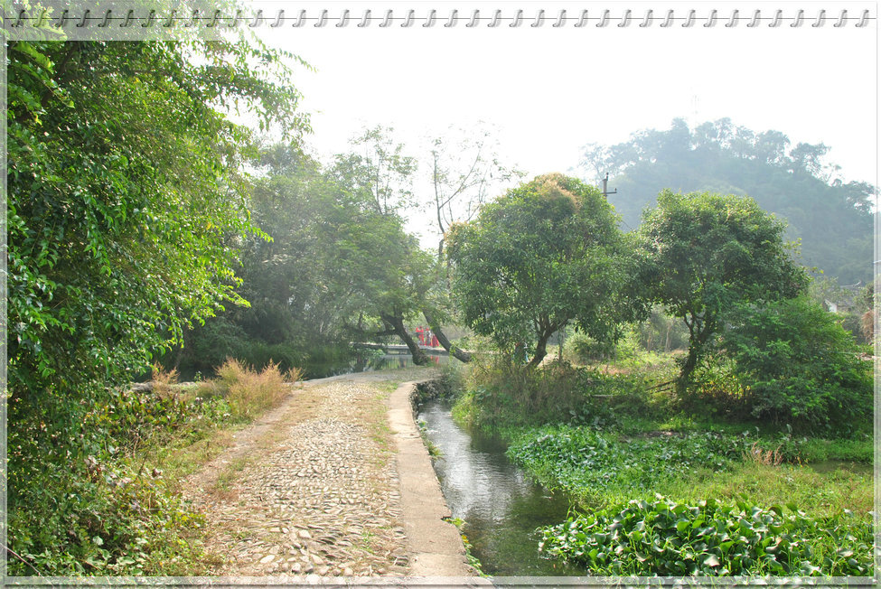 dsc_2829_1.jpg