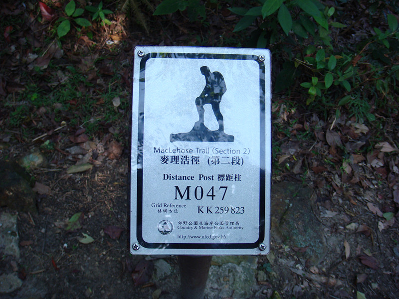 dsc09804_.jpg