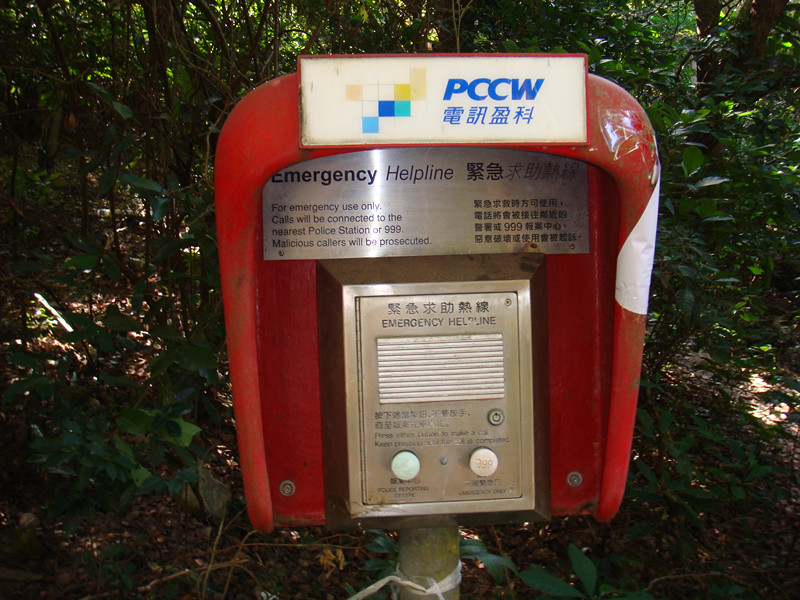 dsc09819_.jpg